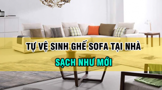 Cách vệ sinh sofa da và nệm cao su đơn giản với dịch vụ vệ sinh nhà ở Aplite Việt Nam