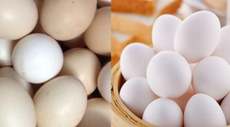 Mua trứng nên chọn quả to hay nhỏ? Đây là 'bí mật' mà người bán sẽ không bao giờ tiết lộ