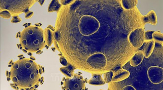 Cảnh báo: Biến thể SARS-CoV-2 tại Nam Phi, có thể vô hiệu hóa vaccine