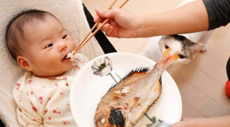 Trẻ mấy tháng có thể ăn được hải sản? Những lưu ý khi cho bé ăn