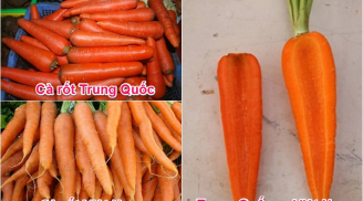 Người trồng cà rốt 10 năm mách nhỏ: Mua cà rốt cứ chọn củ sẫm màu sẽ được ngon ngọt như ý