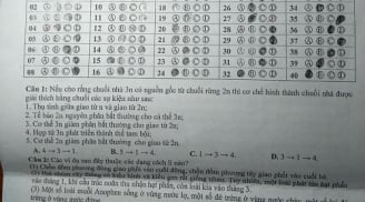 Cô giáo chấm điểm 9 với lời phê 'hết hồn' trên bài kiểm tra của học sinh: Đáng yêu vô cùng