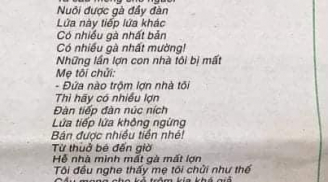 Bài thơ “Mẹ tôi chửi kẻ trộm”: Người khen độc đáo, người chê dông dài