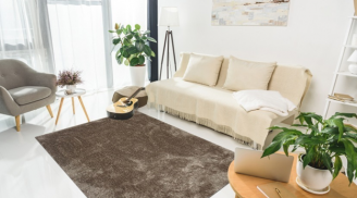 Các phong cách thiết kế Thảm trải sàn dành cho nội thất căn hộ, biệt thự, nhà phố