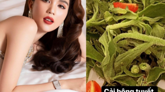 Ngọc Trinh gợi ý loại rau hot hit giúp giữ dáng và làm đẹp da từ sâu bên trong