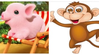 3 con giáp có vận may lội ngược dòng trong tháng 5 âm, càng về cuối tháng lại càng thăng hoa