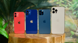 Mua iPhone 12 series giá rẻ, chính hãng, có trả góp ở đâu?