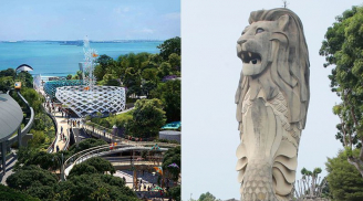 Sự thật thú vị ít ai biết về tượng sư tử biển nổi tiếng ở Singapore