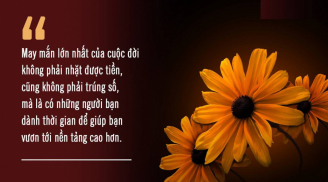 May mắn lớn nhất trong đời: Đi với người giỏi, làm với người đáng tin và sống với người hiểu bạn