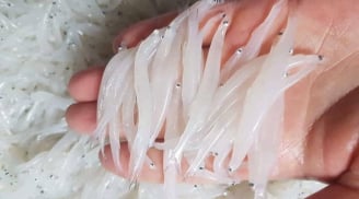 4 món đặc sản từ sông Đà giá cao mấy vẫn hút khách