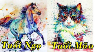 3 con giáp coi chừng tai ương trong 2 ngày cuối tuần 14 – 15/8