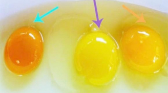 Lòng đỏ trứng gà có màu sắc khác nhau vậy loại nào mới tốt cho sức khỏe?