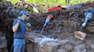 Đua nhau chê người đàn ông dại mua mảnh đất hoang nhưng thấy thứ dưới lòng đất ai cũng phải 'đỏ mắt ghen tị'