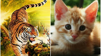 Tuần mới (18-24/10): 3 con giáp có khả năng bứt phá thành đại gia