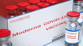 Moderna dự kiến sẽ có vắc xin chống biến chủng Omicron vào đầu năm 2022