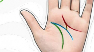 Nhìn lòng bàn tay đoán tính cách, vận mệnh: Người có đường chỉ tay chữ M rất đặc biệt