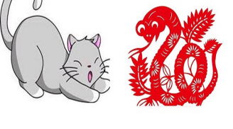 Tuần mới: 3 con giáp may mắn vượt trội, tiền về ngập két