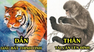 3 con giáp nhận lộc cuối tuần, ngồi nhà cũng có cơ hội phát tài