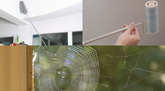5 cách quét mạng nhện nhanh và sạch, ngăn ngừa mạng nhện quay trở lại