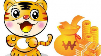 Tuần mới: 3 con giáp phát tài dịp cuối năm, có cơ hội đứng trên núi tiền