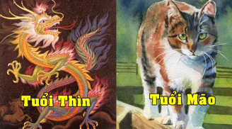 3 con giáp giàu tham vọng, thích làm chủ, khó khăn thế nào cũng không thể cản bước