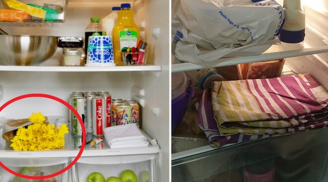 Tủ lạnh chỉ dùng để bảo quản thực phẩm thì quá phí, đây là loạt công dụng hữu ích mà nhiều người không biết