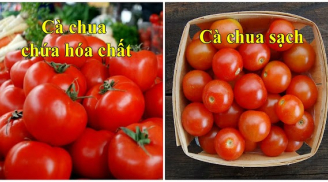Đi chợ thấy cà chua có 3 dấu hiệu này thì rẻ mấy cũng đừng mua: Có thể là loại bị tẩm hoá chất