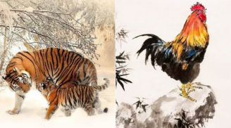 Tuần mới (4-10/4): 2 con giáp may mắn khởi sắc, 1 con giáp đen đủi làm việc gì cũng khó