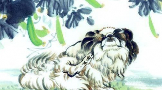 3 con giáp có đào hoa nở rộ, vận may khởi sắc, tài chính suôn sẻ trong quý II