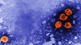 Xuất hiện virus bí ẩn gây viêm gan cho trẻ em ở nhiều nước