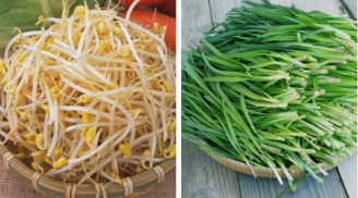 3 loại rau “trường thọ - đại bổ” có nhiều ở Việt Nam: Số 1 ai cũng có thể trồng