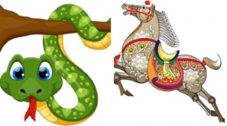 Tuần mới (25/4-1/5): 2 con giáp may mắn, 1 con giáp gặp nhiều trở ngại