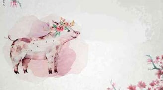 Cuối tháng 5: 3 con giáp tài lộc nở hoa, tiền vào như nước