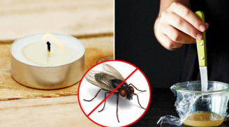 Dùng 10 chiêu độc này, ruồi muỗi nhiều đến mấy cũng 'dạt nhà' đi xa hết, đi rồi không trở lại