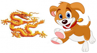 4 con giáp càng già càng giàu, hậu vận sung sướng