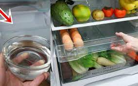 Đặt 1 bát nước vào tủ lạnh theo cách này: Mẹo tiết kiệm điện vô cùng đơn giản, làm theo bạn sẽ bất ngờ
