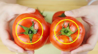 Người bán hàng sẽ không bao giờ cho bạn biết: Mua cà chua tốt nhất nên chọn loại “6 lá'