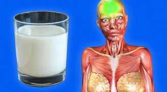 Có nên uống sữa trước khi đi ngủ hay không?