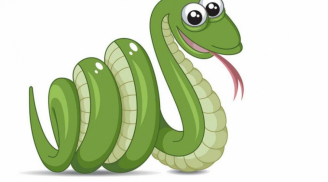 Quý Mão 2023: 3 con giáp thoát cảnh khốn khó, cuộc sống dư dả đánh đâu thắng đó