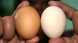 Trứng gà ta có bổ hơn trứng gà công nghiệp hay không?