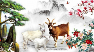 Top 3 con giáp xuất sắc trong việc dạy con chi tiêu