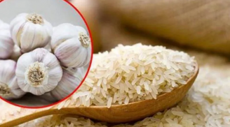 Vùi tỏi vào thùng gạo: Lợi ích lớn, giải quyết cả trăm vấn đề mà nhà nào cũng gặp phải