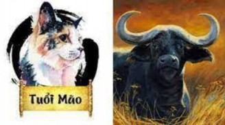 Nhà tiên tri chỉ đích danh: 3 con giáp phất lên nhanh chóng, cuối 2022 tậu nhà sắm xe, đón Tết linh đình