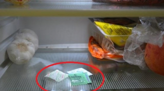 Đặt gói hút ẩm trong tủ lạnh, điều kỳ diệu sẽ xảy ra