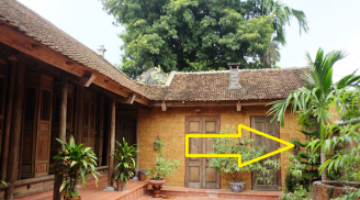 3 loại cây 'ông bà trồng con cháu hưởng', phú quý theo tới 10 đời, có 1 thôi cũng sung túc hơn người