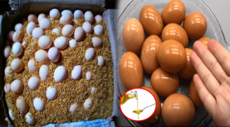 Đừng cho trứng vào tủ lạnh: Đây là cách bảo quản trứng cả nửa năm vẫn giữ nguyên chất bổ