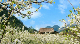 Tháng sinh âm lịch của người vượng vận quý nhân, làm giàu không khó