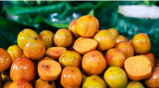 Người phụ nữ tắc ruột sau khi ăn quả hồng: Ai không nên ăn hồng ngâm?