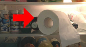 Tối ngủ nhớ đặt 1 cuộn giấy vệ sinh vào tủ lạnh, sáng ra thấy 4 tác dụng, hóa đơn điện giảm cả triệu