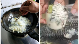 Ai mổ cá cũng vứt thứ này đi, không ngờ là bảo bối giàu dinh dưỡng, nấu món gì cũng ngon